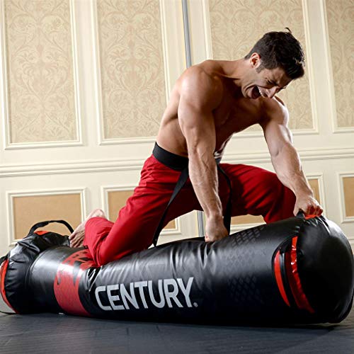 Century Versys Fight Simulator - Image 5