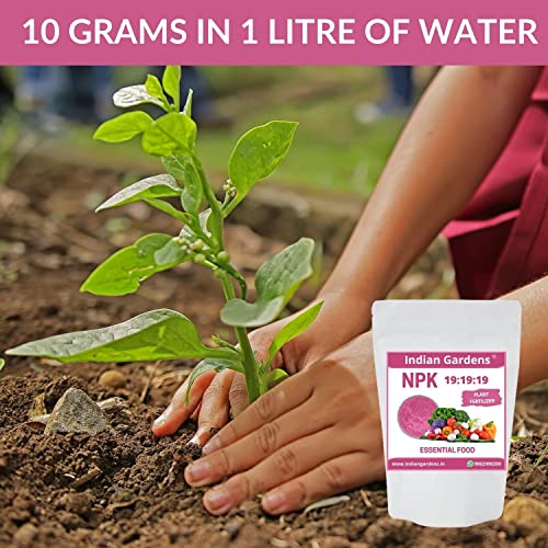 Image of Indian Gardens NPK 19:19:19 Fertilizer for Plants And Plant food | Flowering Booster and Growth - 1 Kg