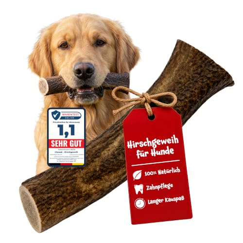 Hirschgeweih für Hunde XL - 100% Natürliches Geweih für Hunde