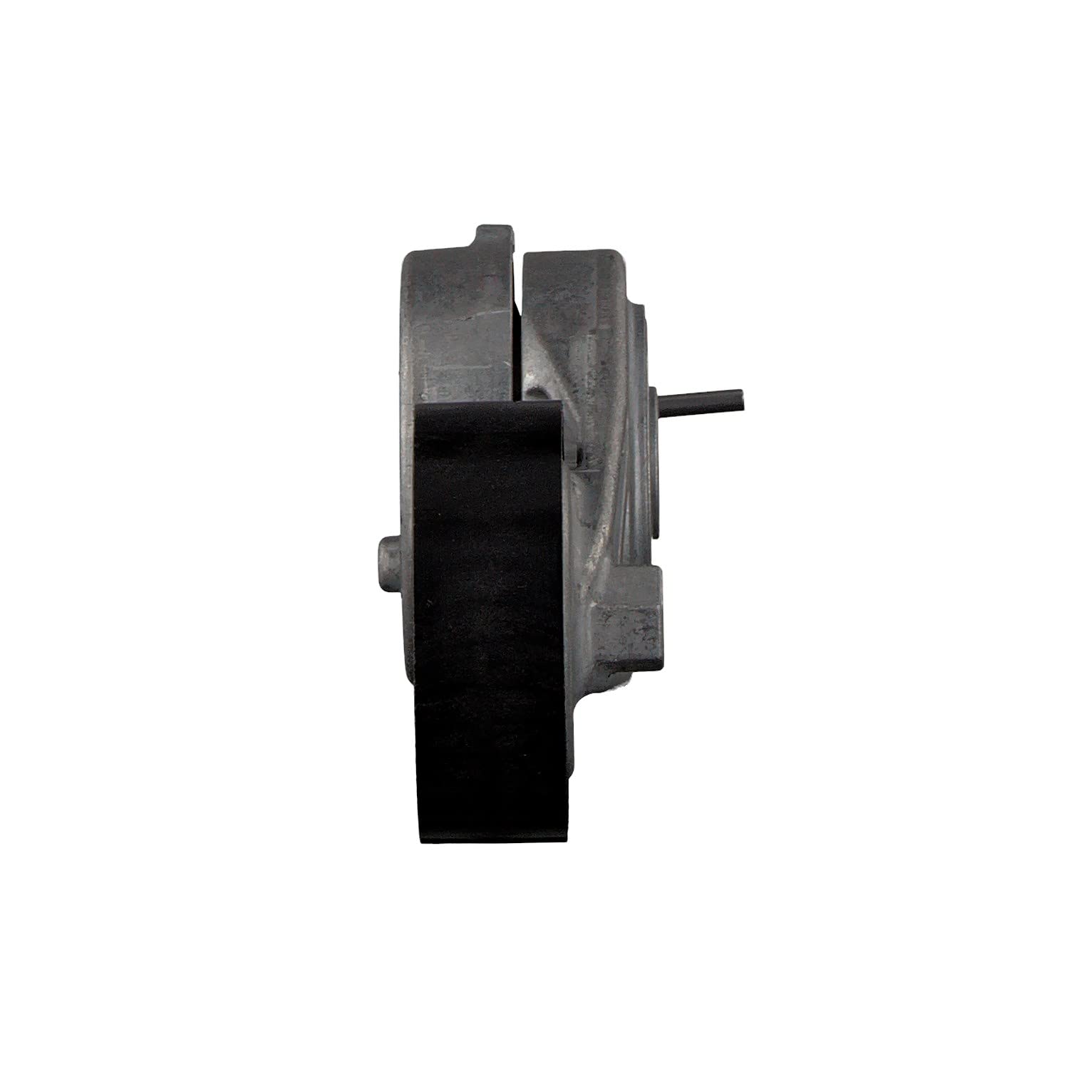 FEBI BILSTEIN Tendicinghia, Cinghia Poly-V 38972