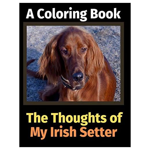 The Thoughts of My Irish Setter: A Coloring Book