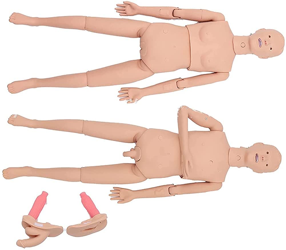 Multifunktionaler Patientenversorgungssimulator, männlich-weibliche Kombination aus menschlichem anatomischem Modell für die Ausbildung von Lehr- und Schulmaterial aus PVC