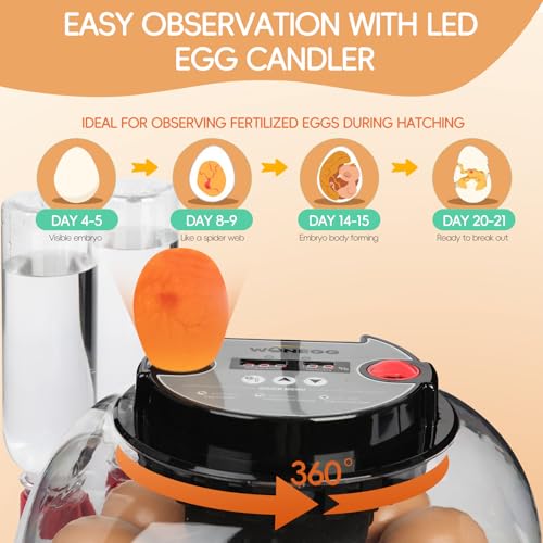 12 Egg Incubator with Automatic Turning, Humidity Control, LED Egg Candler, and Auto Water Addition, for Hatching Chicken, Goose, Duck, Quail, Pigeon (12 Egg Incubator Pro) - Image 6
