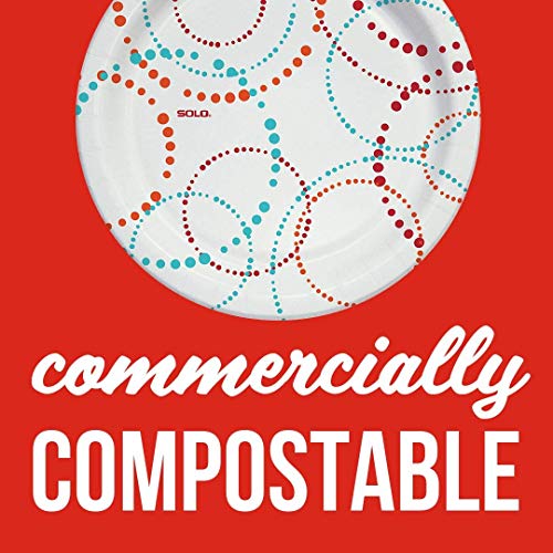 Solo Cup Company Cup Any Day Paper Plates, 10 Inch, 220 Count #TOP5