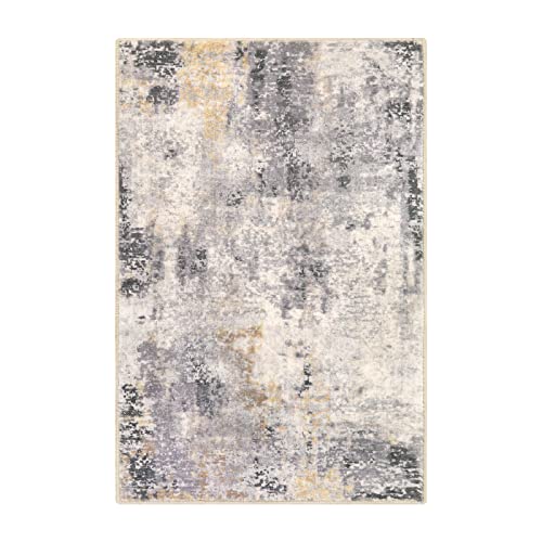 Lahome Modern Abstract Area Rug - 2x3 Small Gray Bath Rug Soft Washable Non-Slip Contemporary Entryway Rug, Throw Doormat Indoor Entrance Floor Accent Carpet for Kitchen