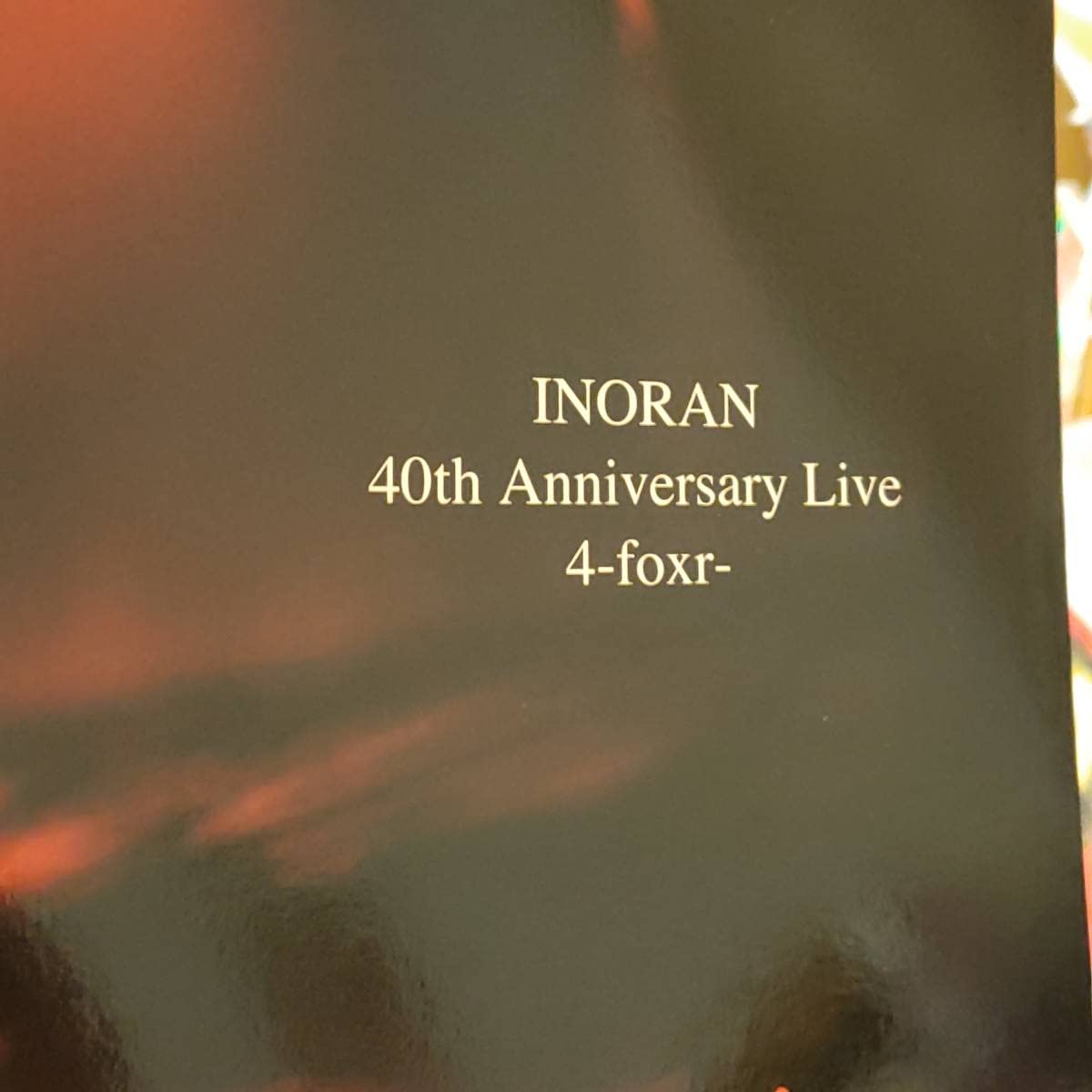 Amazon.co.jp: 激レア入手困難パンフINORAN 40th Anniversary