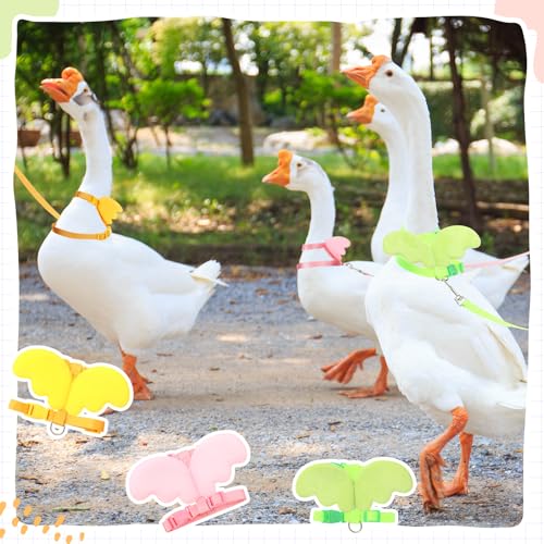 Image of SATINIOR 3 Pack Harness and Leash for Pet Ducks, Real Duck Collar and Leash Soft and Adjustable Harness Training Traction Rope Collar for Young Adult Pet Goose Chicken Hen(Pink Green Yellow,M)
