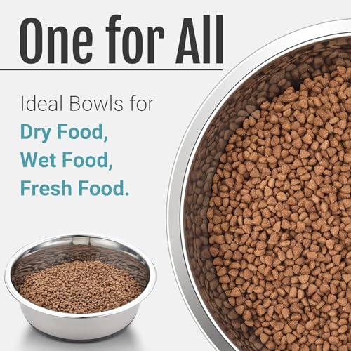 4 Stück Hundenapf Edelstahl, Hundenapf rutschfest mit Silikonboden, Hundenäpfe für Futter und Wasser, Hundeschüssel für Kleine Mittlere Große Hunde, Fressnapf Hund Metall, Dog Bowl (900ML)