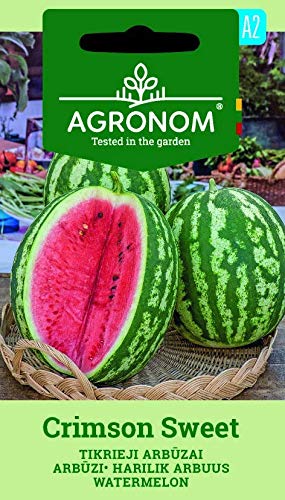 AGRONOM | Watermelon Crimson Sweet Seeds | Fruit Seeds | for Planting | Plants for Garden | 1 Pack