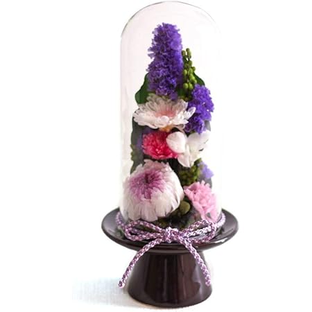 Amazon Makefuture 紫苑 M プリザーブドフラワー 仏花 ガラスドーム お悔やみ お手入れ不要 単品 プリザーブドフラワー オンライン通販 Amazon Makefuture 紫苑 M プリザーブドフラワー 仏花 ガラスドーム お悔やみ お手入れ不要 単品 プリザーブドフラワー オンライン通販