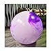 FLY FLQ Palla da Palestra，Esercizi Palestra Anti-Scoppio Extra Spesse, Palla Svizzera con Pompa A Pedale, Palla da Parto per Yoga, Pilates, Fitness, Lavoro in Gravidanza,Purple-75CM