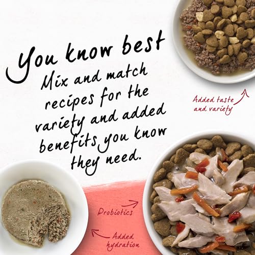 Image of Purina Beyond Natural Wholesome Ingredients for Whole Health Dry Cat Food Salmon and Whole Brown Rice Recipe - 3 lb. Bag