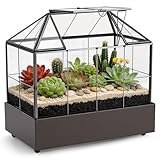 Mini Gewächshaus Glas ,25 x 24 x 14cm Pflanzen Terrarium Klein Flaschengarten,gewächshaus Glas ,Pflanzen glashaus,Pflanzenterrarium mit Deckel für Sukkulenten, Kakteen Indoor