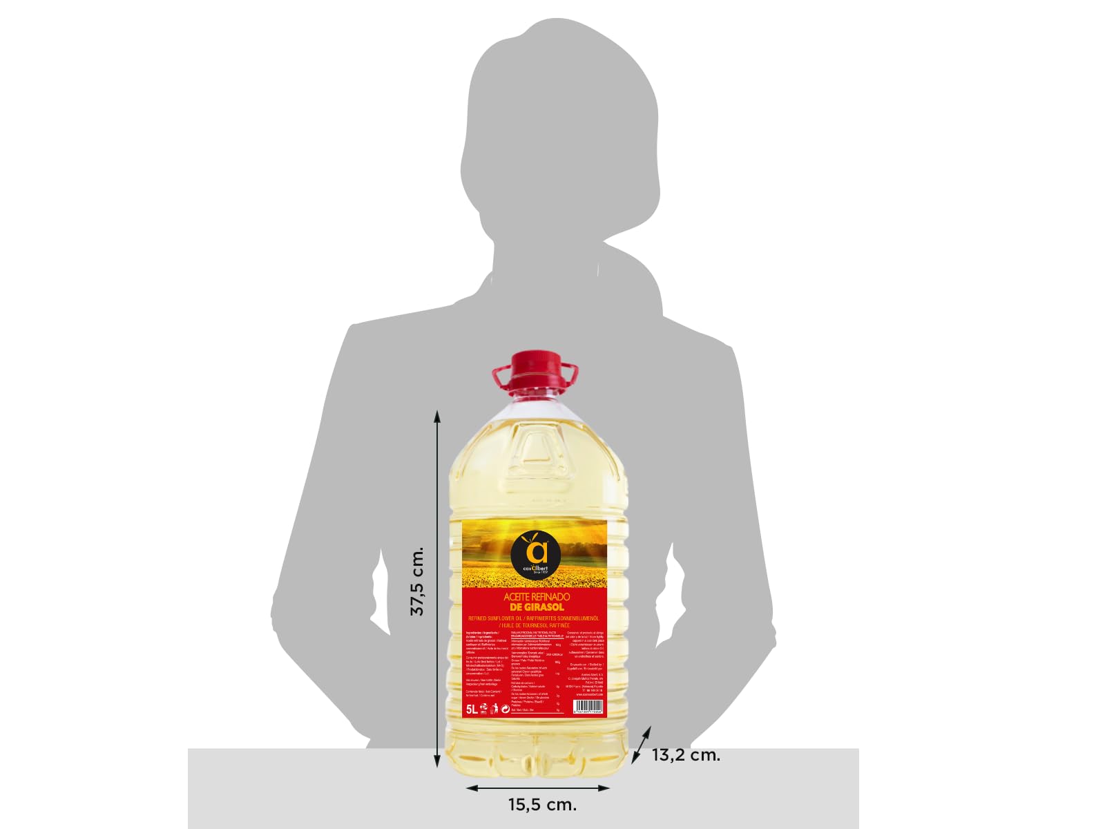 Huile de tournesol Casalbert - Huile spéciale friture ou cuisson - Huile de tournesol raffinée à haute teneur en acide oléique - Bidon de 5 l
