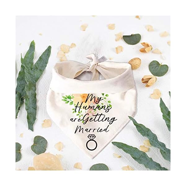 My humans are getting wedding married dog bandana，pet scarf accessories,pet accessories for dog lovers - image 3