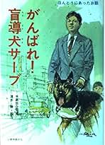 ▲限定１名様▲グラビア▲手島優▲切り抜き▲クリアブック3冊 Amazon.co.jp: 手島優: 本