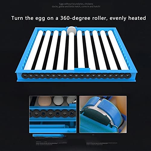 Eier Inkubator Automatisch mit Effizienter LED Beleuchtung Feuchtigkeitsfest Energiesparend Kühltechnologie Bis 320 Eier… – Bild 6