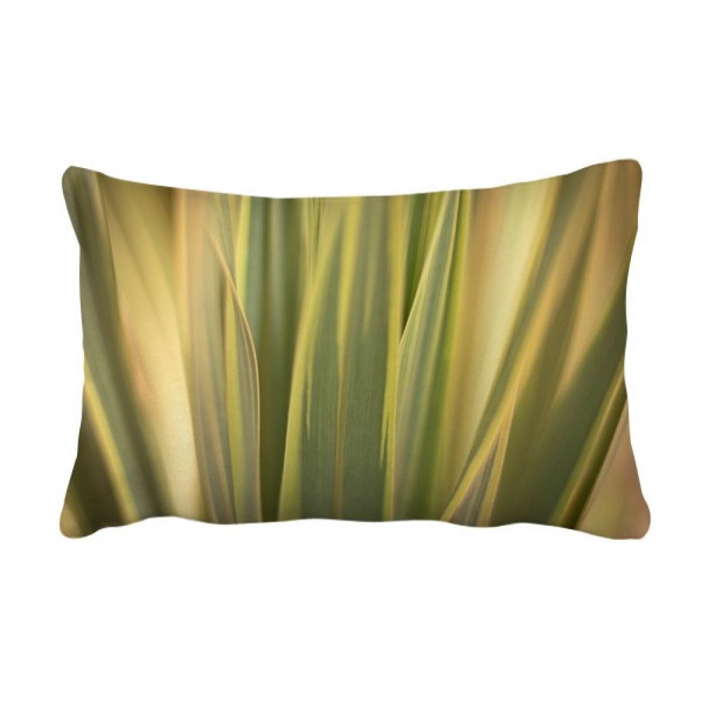 Coussin jetable motif feuilles de plantes idée cadeau salon
