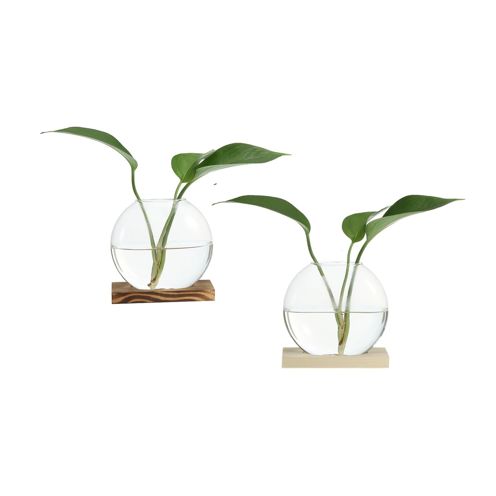 Soliflore en Verre Vase hydroponique en Verre avec Plateau Bois, 2 pièces, Vases à bourgeons, Station de Propagation des Plantes, Fleurs for Chambre Coucher, décoration Table Maison(Brown)