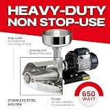 Reber Electric Tomato Strainer N.5 650W for Tomato Sauce and Preserves | for Jams and Fruit Juices - Output up to 772 lbs/h - Stainless Steel Accessories – Induction Motor – Made in Italy