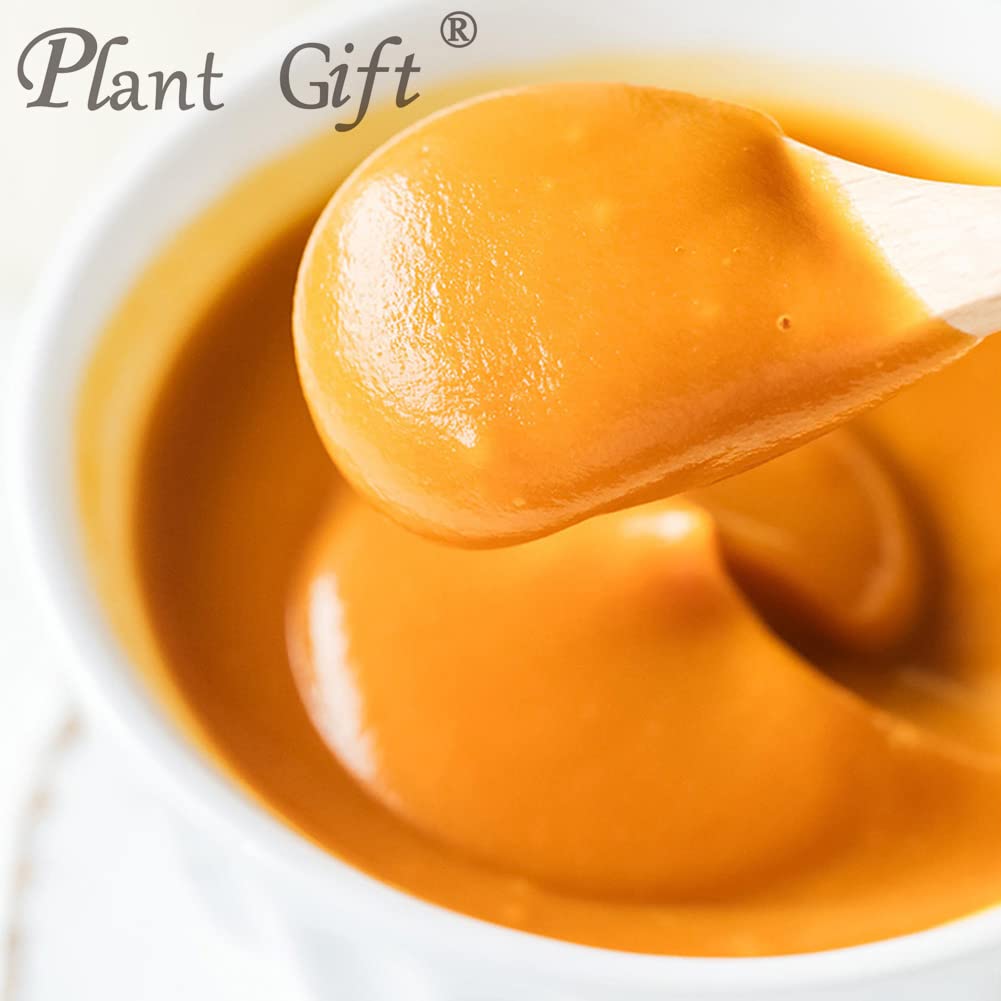Plant Gift 100% Pure Pumpkin Powder 南瓜粉 Pasto naturale in polvere, ottimo sapore per bevande, frullato, yogurt, cottura, biscotti, torte e bevande, polvere non OGm 100G/3.25oz