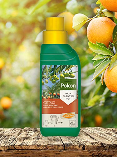 Pokon Zitrus- und mediterraner Pflanzendünger 250ml