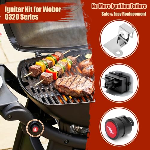 Denmay 63788 Zündkit für Weber Q3200 & Q320 Grills, Grillanzünder für Weber Q320 (2008), Weber 3200 (2014) Serie Gasgrills