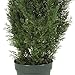 Nearly Natural 4FT Faux Cedar Tree, Outdoor Front Porch Décor, Faux Cedar Tree Pine Tree in Nursery Planter with UV Resistant Coating