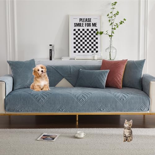 Funda de sofá terciopelo azul lavable para solucionar las manchas de mascotas 2