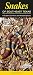Snakes of Southeast Texas: A Guide to Common & Notable Species (Quick Reference Guides)