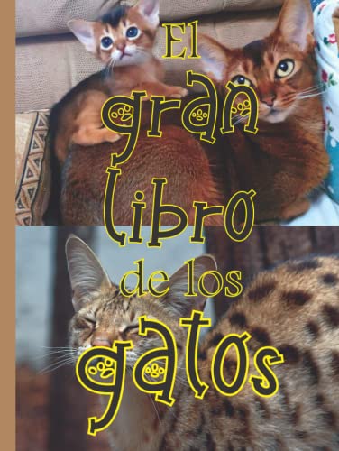 El gran libro de los gatos: libro de fotografía de gatos con 77 r...
