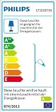 Philips myGarden Paradise lampa ścienna na zewnątrz, szara (zawiera 2 x 18 W żarówka E27)