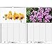 Wall Planner Family Planner 4 Columns - Orchid Magic DIN A3 Calendar for 2022 Orchids and Flowers