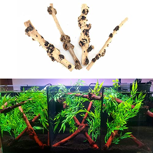 Hamiledyi Aquarium Driftwood Branches,Natural Forest Branches Assorted Size Tree Trunks Aquarium Wood Decor Fish Tank Terrarium Decoration (4 Pcs) #TOP3