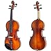 Paititi 4/4 Full Size Artist-200 Serie Solid Wood Ebony Fitted Violin with Bow Lightweight Case, Shoulder Rest, Extra Strings and Rosin