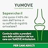 YuMOVE Integratore Articolazioni Cane 5-8 Anni - 60 Compresse - In Attesa di Brevetto 150mg di Cozza Verde ActivEase per Compressa - Joint Care Cani Articolazioni & Condroprotettori Cane, Glucosamina