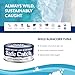 Safe Catch Wild Albacore Tuna Canned Low Mercury Can Tuna Fish Steak Gluten-Free Keto Food Non-GMO Kosher Paleo-Friendly High Protein Every Can Of Tuna Is Tested No Water Oil Tuna, Pack of 12 5oz