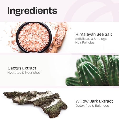 Image of Manetain Scalp Scrub 100gm | Purifying Hair & Scalp Exfoliator for Dandruff, Dry Scalp & Build‑Up | Deep‑Clean Hair Scrub with Himalayan Salt, Cactus & Willow Bark | Vegan & Cruelty‑Free