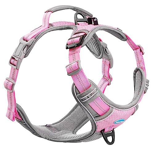 ThinkPet Anti Zug Hundegeschirr mit Griff - Verstellbar, Reflektierend, Atmungsaktiv, Gepolstert (M, Leuchtend Rosa)