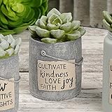 Blossom Bucket 191-11714 Cultivate Kindness Succulent in Container,...