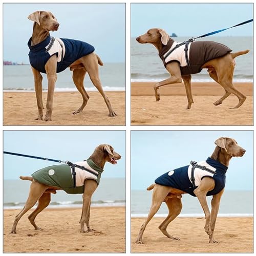 Manteau réfléchissant imperméable pour chien évitant les frissons - 4