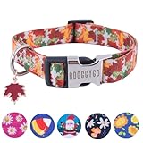 ADOGGYGO Fall Dog Collar, Thanksgiving Dog Collars Adjustable Soft Fall Leaves Thanksgiving Collars for Small Medium Large Dogs (Medium, Fall)
