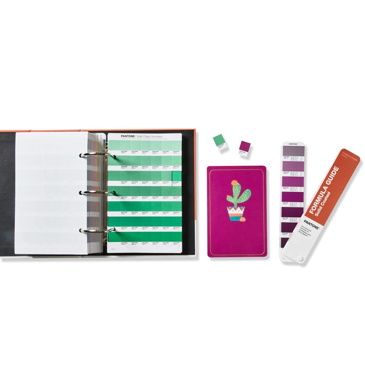 Amazon.com : Pantone Solid Color Set | Color Tools for All Stages 