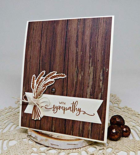 Stamp Simply Clear Stamps Scripture Sentiments Farmhouse Words Of Encouragement Christian Religious (4-Pack) 4X6 Inch Sheets - 35 Pieces #TOP5
