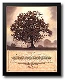 Living Life 26x32 Framed Art Print by Mohr, Bonnie