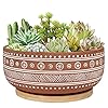 8 inch terracotta succulent planter pot with drainage hole and bamboo tray round shallow bonsai pot for indoor plants  urban country home decor
