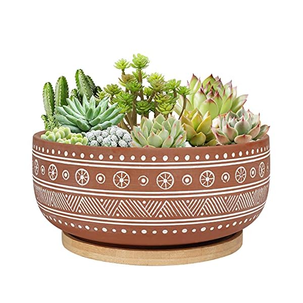 8 inch terracotta succulent planter pot with drainage hole and bamboo tray round shallow bonsai pot for indoor plants  urban country home decor