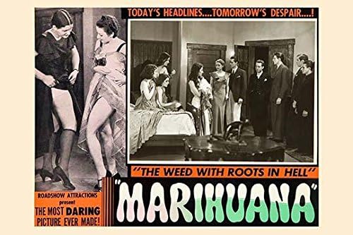 Miniatura 1 de Tarjeta de vestíbulo para la película clásica de culto de Roadshow Attractions about the droga Marihuana Poster Print by unknown (24 x 36)