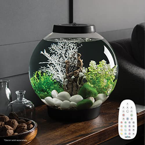 Classic 15 Aquarium With Mcr Light - 4 Gallon, Black #TOP1