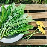 IDDA Herbal Herbata z Mniszka Lekarskiego 500g, Suszone i Cięte Liście Mniszka, Herbata Liściasta